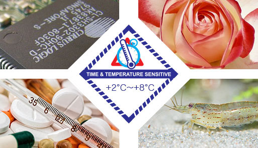 정온 유지가 생명인 의약품, 첨단반도체, 어류, 육류, 화훼류 등의 품목을 제조기업부터 최종 소비자에 이르기까지 최적화된 온도를 유지하면서 최단시간 내에 운송하는 서비스입니다.